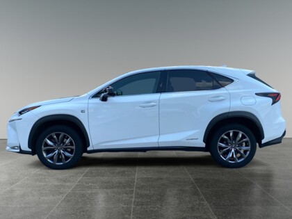 NX 300h E-Four F-Sport